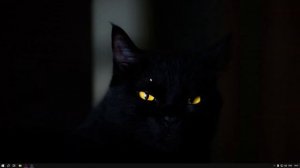 Как повысить ФПС в КС 2! MSI MODE ВКЛЮЧЕНИЕ X.M.P ПРОФИЛЯ