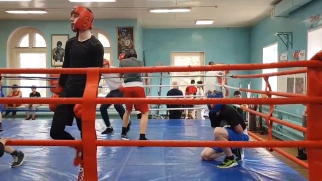 Ямков Владимир День спаррингов Бокс смотреть онлайн