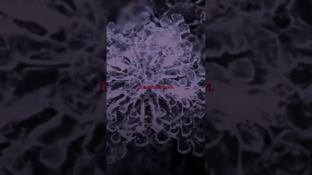 Как изменить мир вокруг смотреть онлайн