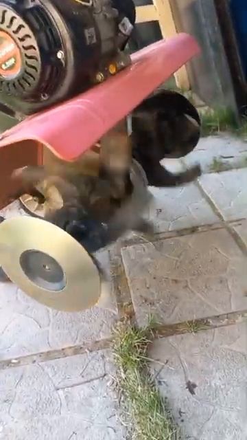 культиватор sungarden смотреть онлайн