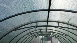 Натянули затеняющую сетку на поликарбонатную теплицу