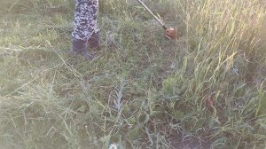 Триммер аккумуляторный Deko DKTR40V PRO