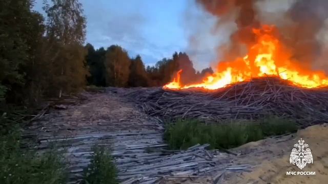 30 июля 2024 г. Филимоновка, Томская обл. САМОЗАГОРЕЛАСЬ смотреть онлайн
