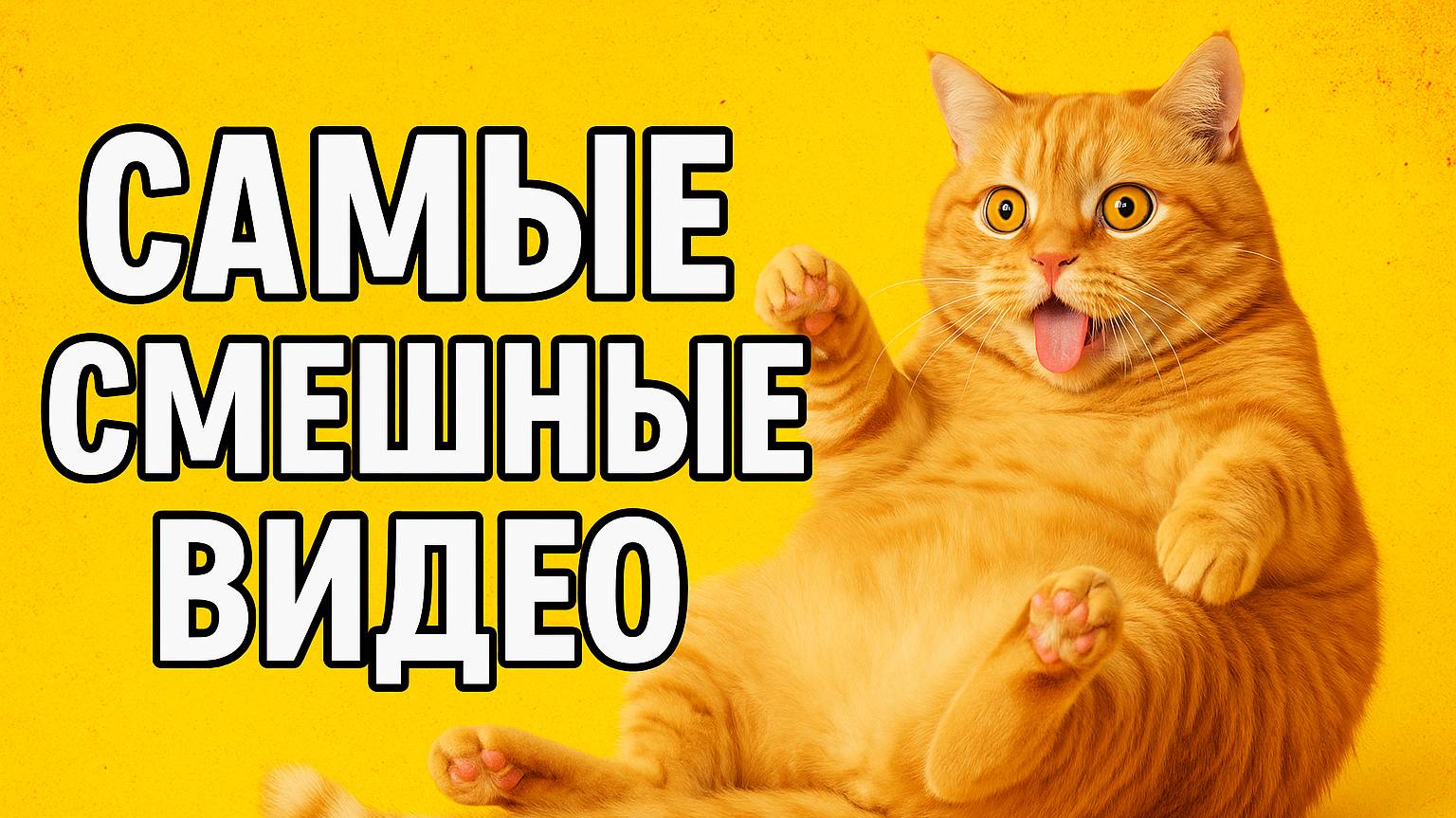 Смех до слёз: лучшие приколы №143 смотреть онлайн