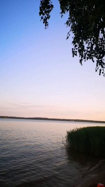 Ставь на обои