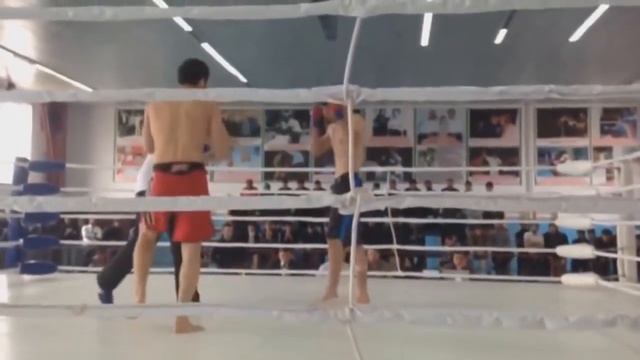 Zabit Magomedsharipov Vs Islam Makhachev  Турнир по Самбо любительский