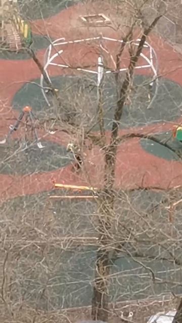 ГБУ Жилищник выпускает гномов с пылесосами #воздуходу смотреть онлайн