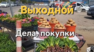 Наш выходной. Прокатимся по делам и за покупками по городу. Улан-Удэ.