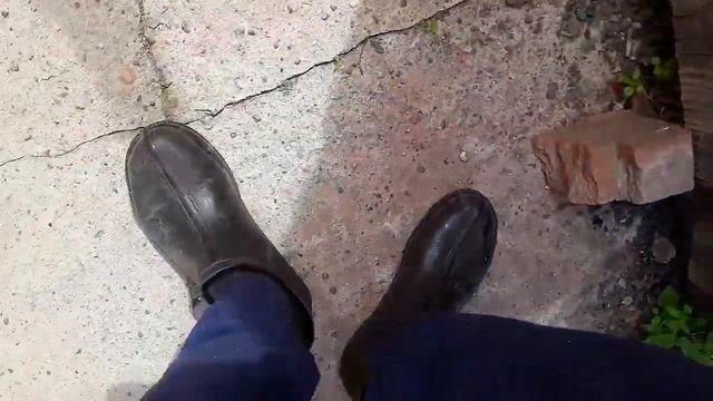 Рыжий Котенок Васька играет в футбол. Со своей кошкой ? смотреть онлайн