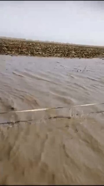 Грязь везде можно найти смотреть онлайн