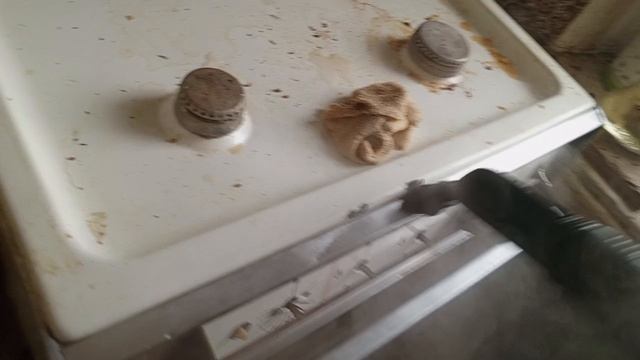 работа пароочистеля Керхер ( Karher)