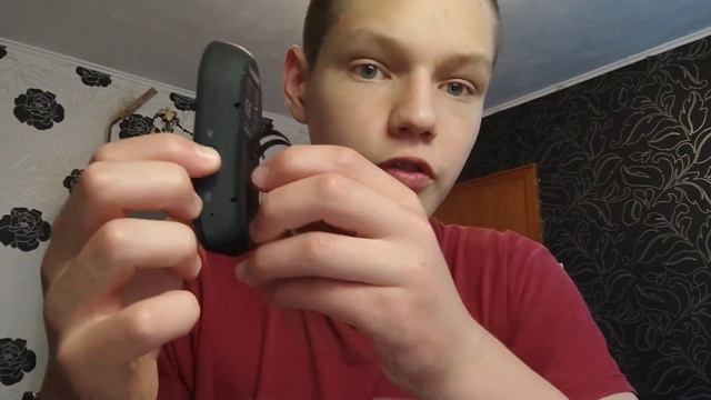 VLAD - SilverCrest для машины ОБЗОР