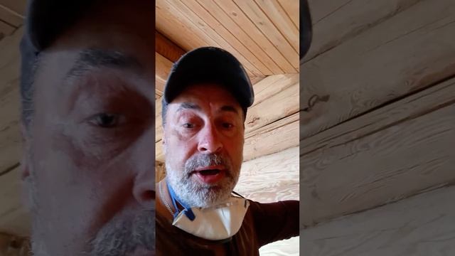 шлифовка дома из оцилиндрованного бревна. лиственниц?