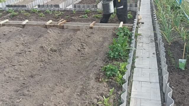 ВЫХОДНЫЕ НА ДАЧЕ 17.05.2025