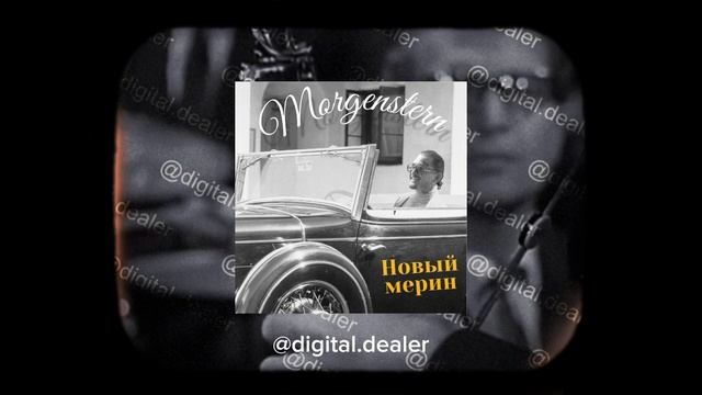 Morgenstern - новый мерин Jazz Cover By Digital Department