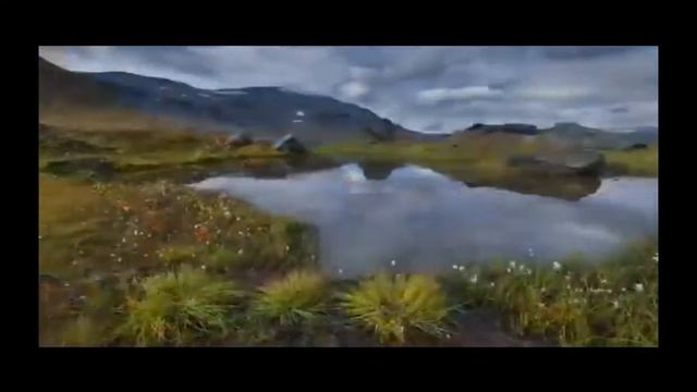 О, Господь / Оh, Lord (Lusine Saakyan)