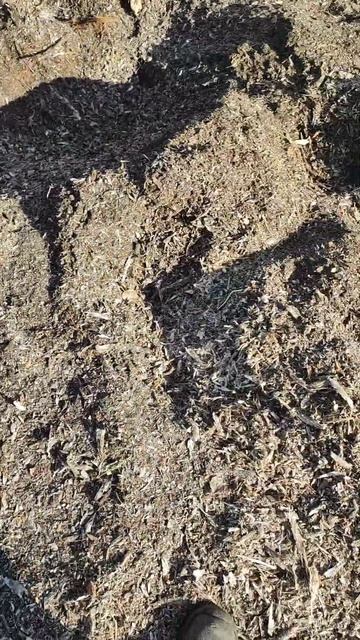 Расчистка участков, Красноярский край 🔥👍 смотреть онлайн