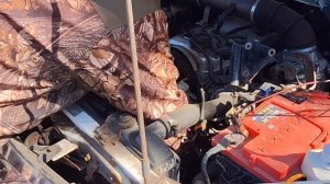 Как легко перекинуть ремень ГРМ на один зуб не снимая ?