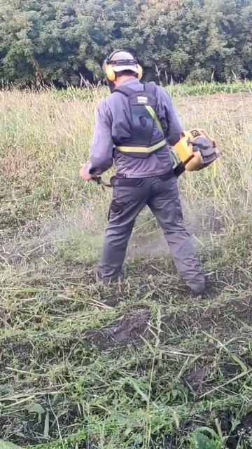 Картошканын үстүн чабуу. Бензин чапкыч 2 кВт Alpina Star D. смотреть онлайн