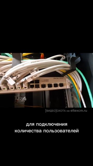 Коммутатор доступа MES2428 Eltex. Видео[Охота] на eltexcm.ru