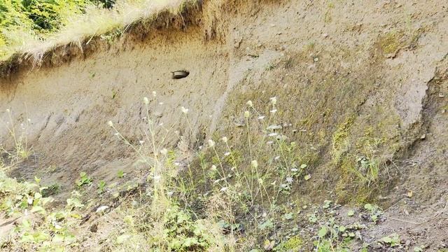 XP Xtrem Hunter тест за меден предмет в силно минерализирана смотреть онлайн