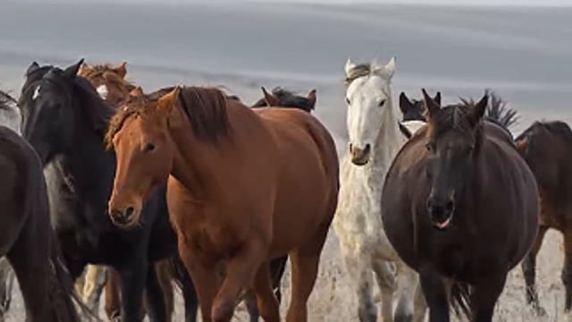 Аудиокнига Ирина Велембовская _Несовершеннолетняя_ Глава 1 Читает Марина Багинская смотреть онлайн