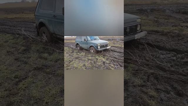 Металлокоп,, нашли целый клад смотреть онлайн