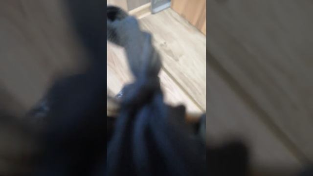 кеды Ральф для Авито смотреть онлайн