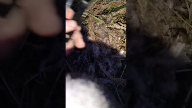 с нуля огнивом в мокром поле, полевых условиях:) смотреть онлайн