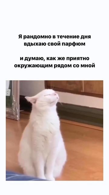 🎁 Пройди тест, чтобы узнать свой идеальный парфюм (эт? смотреть онлайн