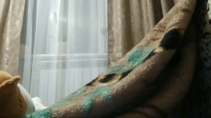 как сделать домик из одеяла🏠