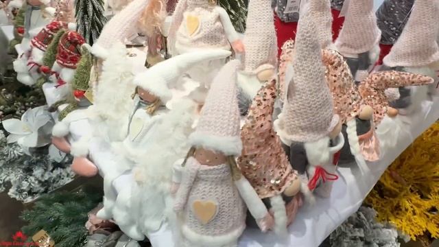 🎄ЕЛКИ 2🎄Калининград🐍Ноябрь🧑🎄2024🦎Выходные на Ч смотреть онлайн