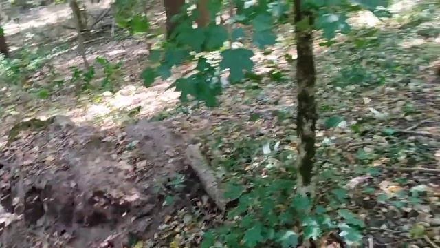 Коп 2024 .Поиск в Харьковской обл.Супер Находки ,хабарни? смотреть онлайн