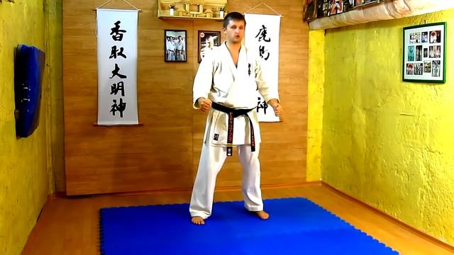 Техника киокушинкай каратэ10 кю  Technique Kyokushinkai Karate 10 Kyu
