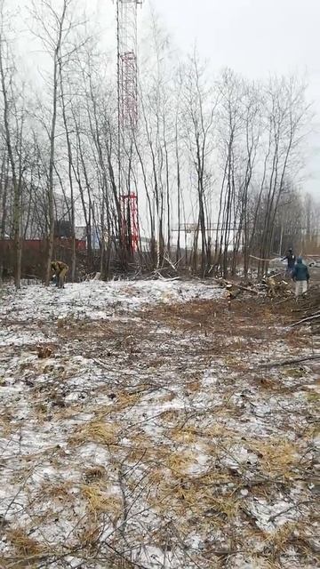 Русский мастер.Валим. Расчистка участка. смотреть онлайн