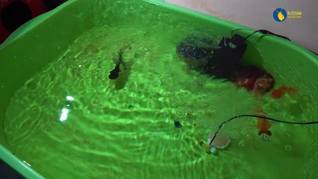 Прекрасная Алена. г.Самара смотреть онлайн