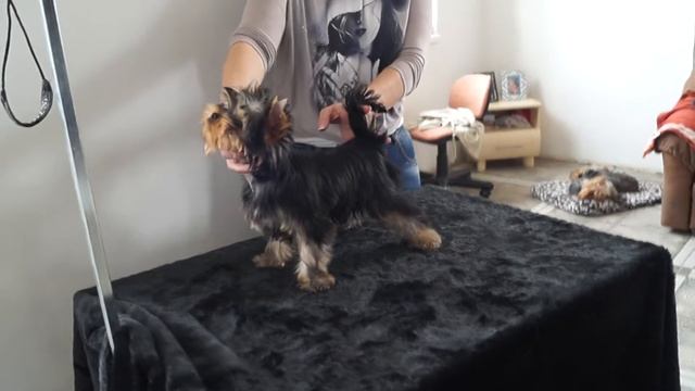 MAH04638 маленькая девочка