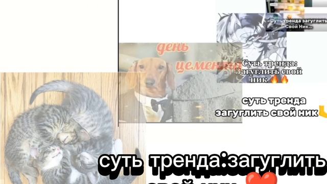 Коллабчик ☺️ смотреть онлайн