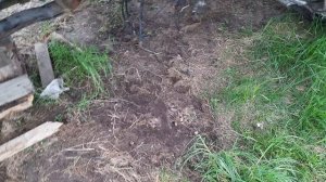 Загорается ABS прицепа и курсовая устойчивость MAN TGS