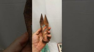 Старые ножницы для стрижки овец