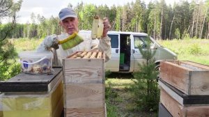 проблема раннего меда