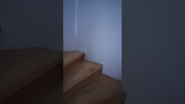 7754069.1 смотреть онлайн