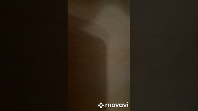 колекция ЗОЛОТЫЕ СНЕЖИНКИ