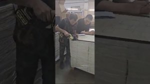 Циркулярная пила feng bao