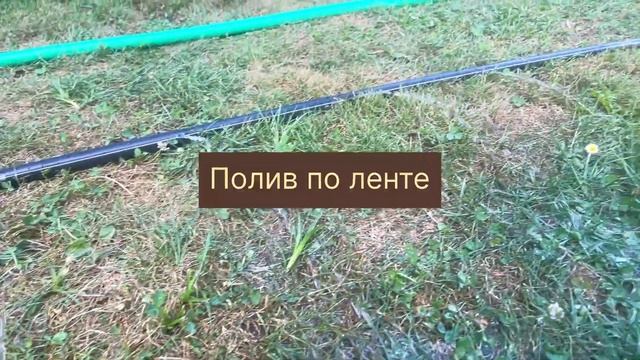 Как выбрать автоматический полив смотреть онлайн