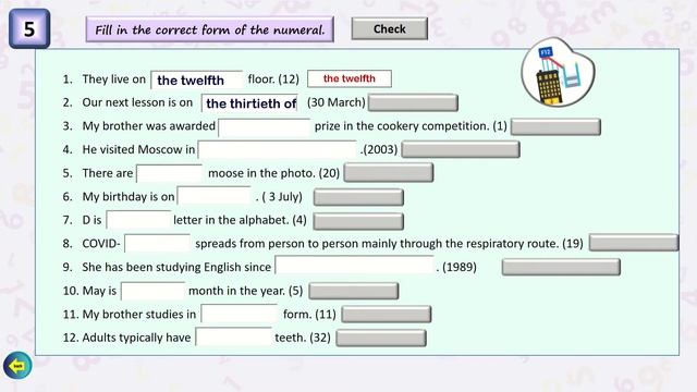Тренажёр Numbers, years видеообзор на 10 вариантов