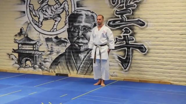 Ката Тайкиоку Шодан