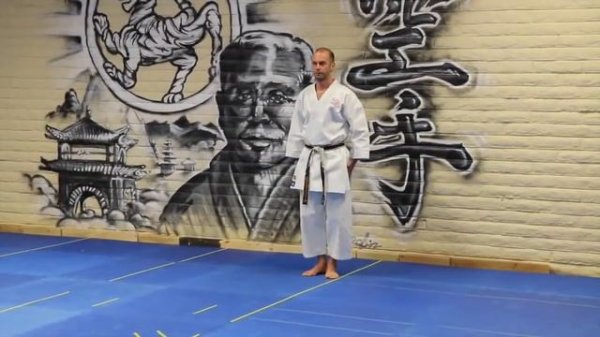 Ката Тайкиоку Шодан