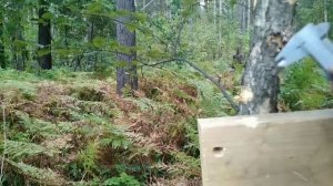 МР80-13Т. Мощный и надежный. Сравнение патронов.