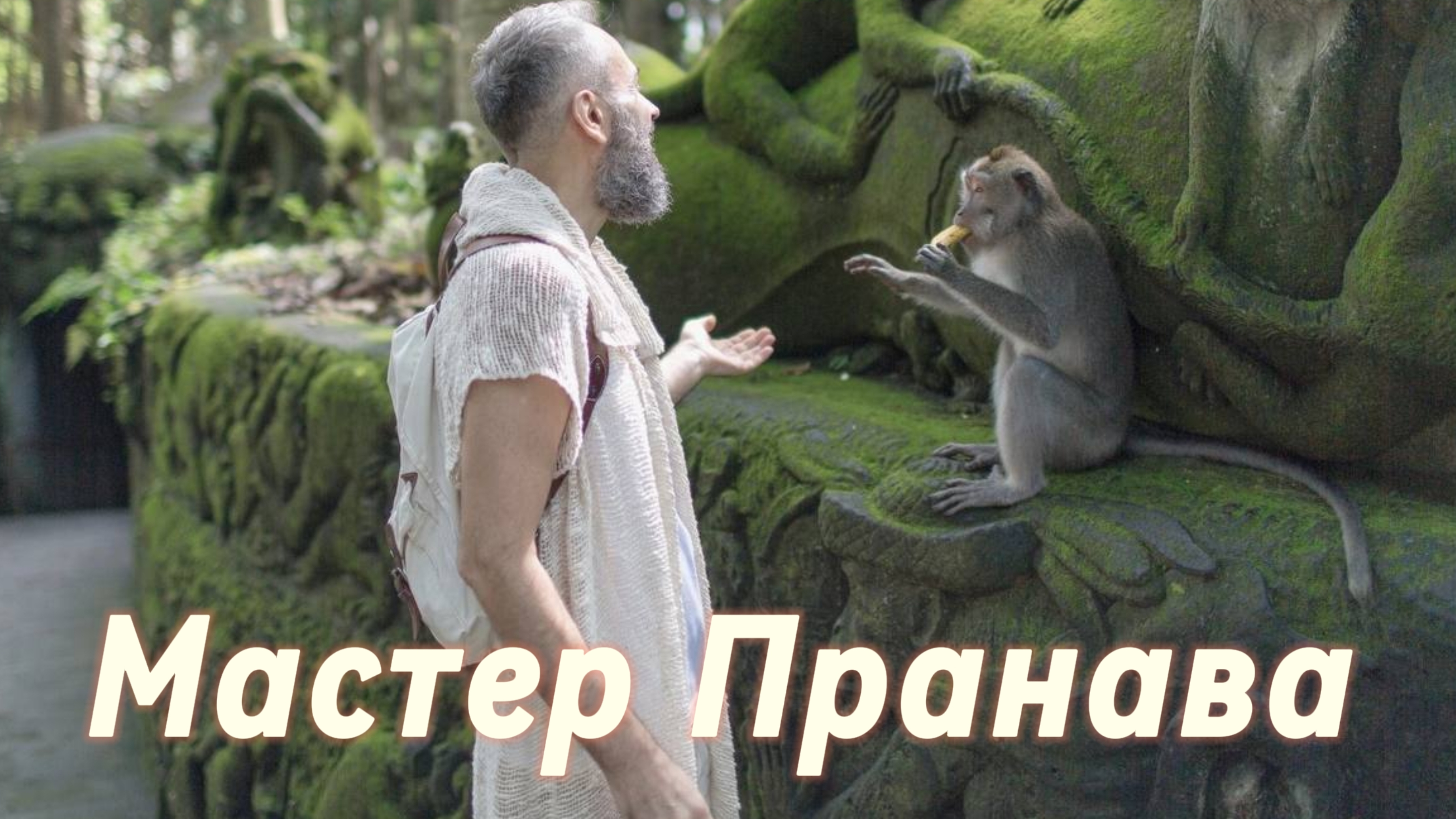 Сатсанг ответы на вопросы, Сборник 88. Мастер Пранава смотреть онлайн